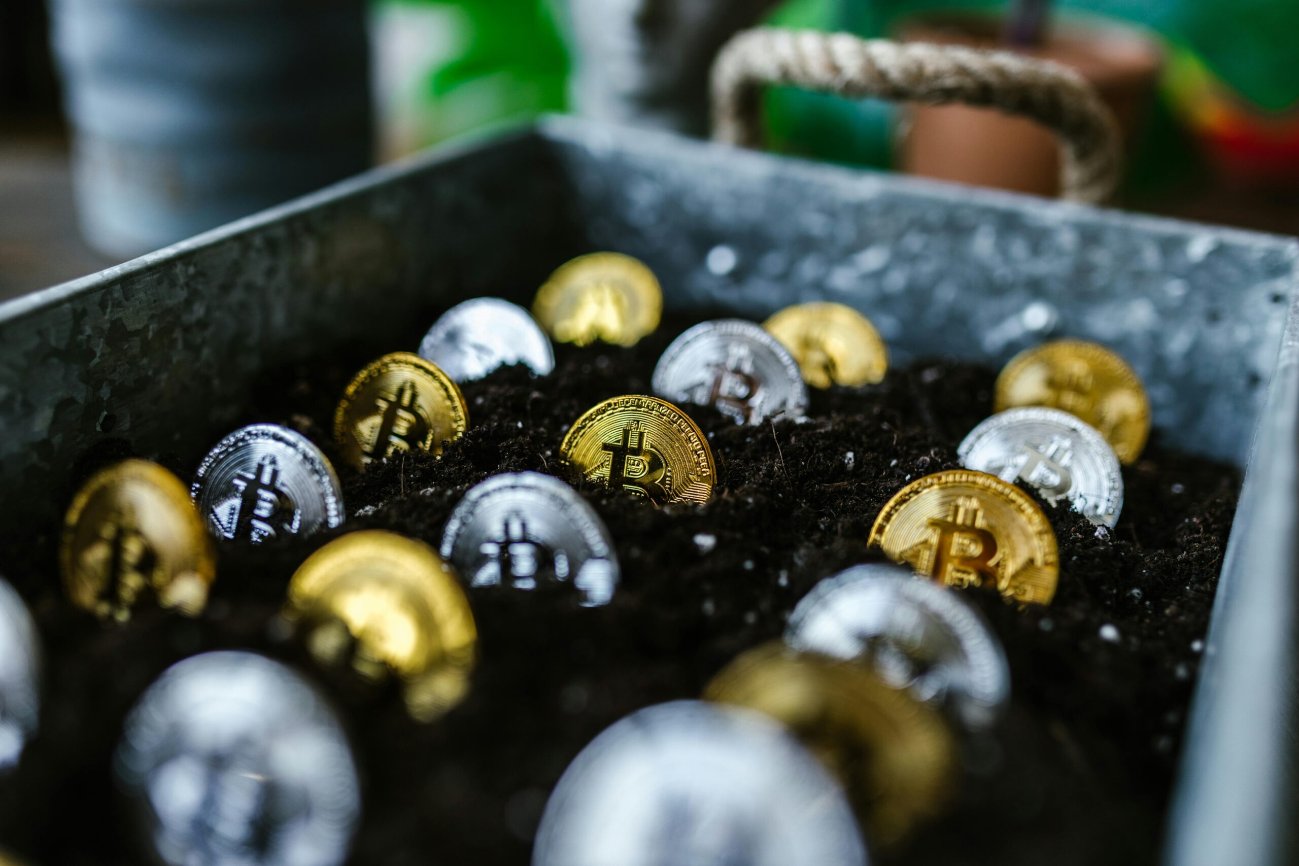 Diversification in the digital age balancing crypto investments and alternative online ventures